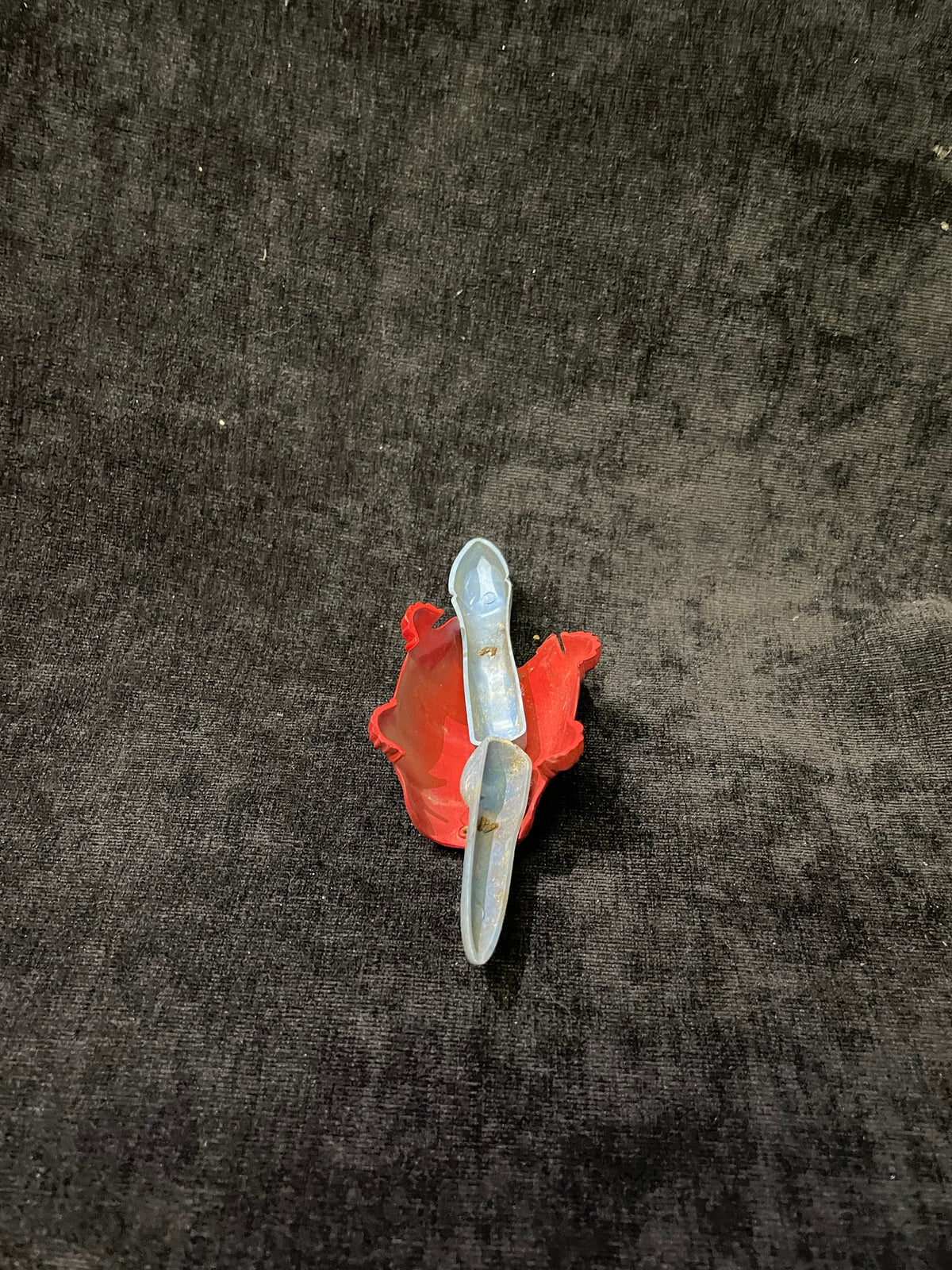 Blue and Red Bobble Head Turtle