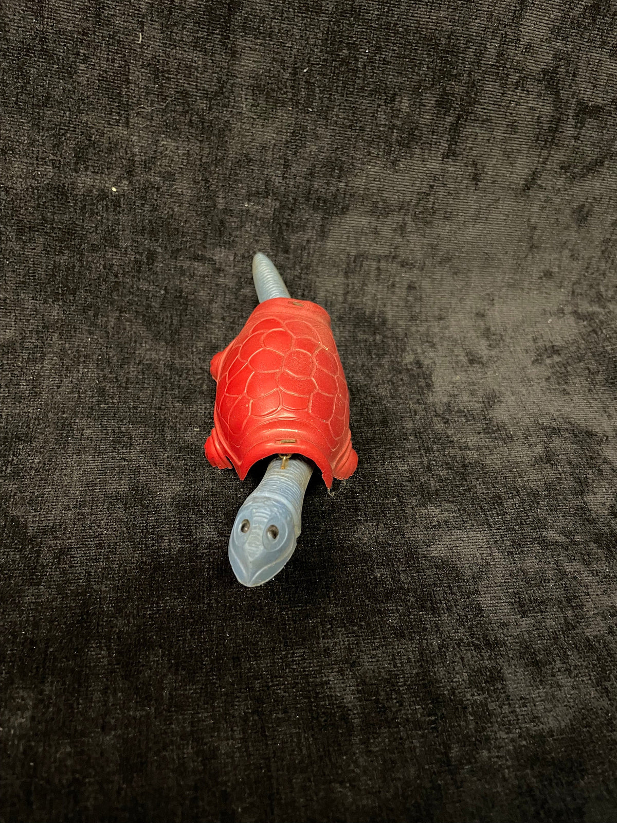 Blue and Red Bobble Head Turtle