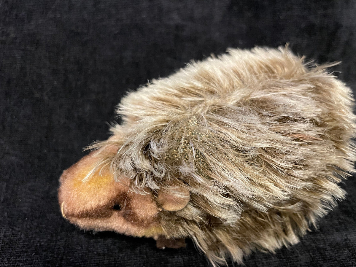 Steiff Joggi Hedgehog Mohair  -  1950s Hedgehog with Glass Eyes and Mohair