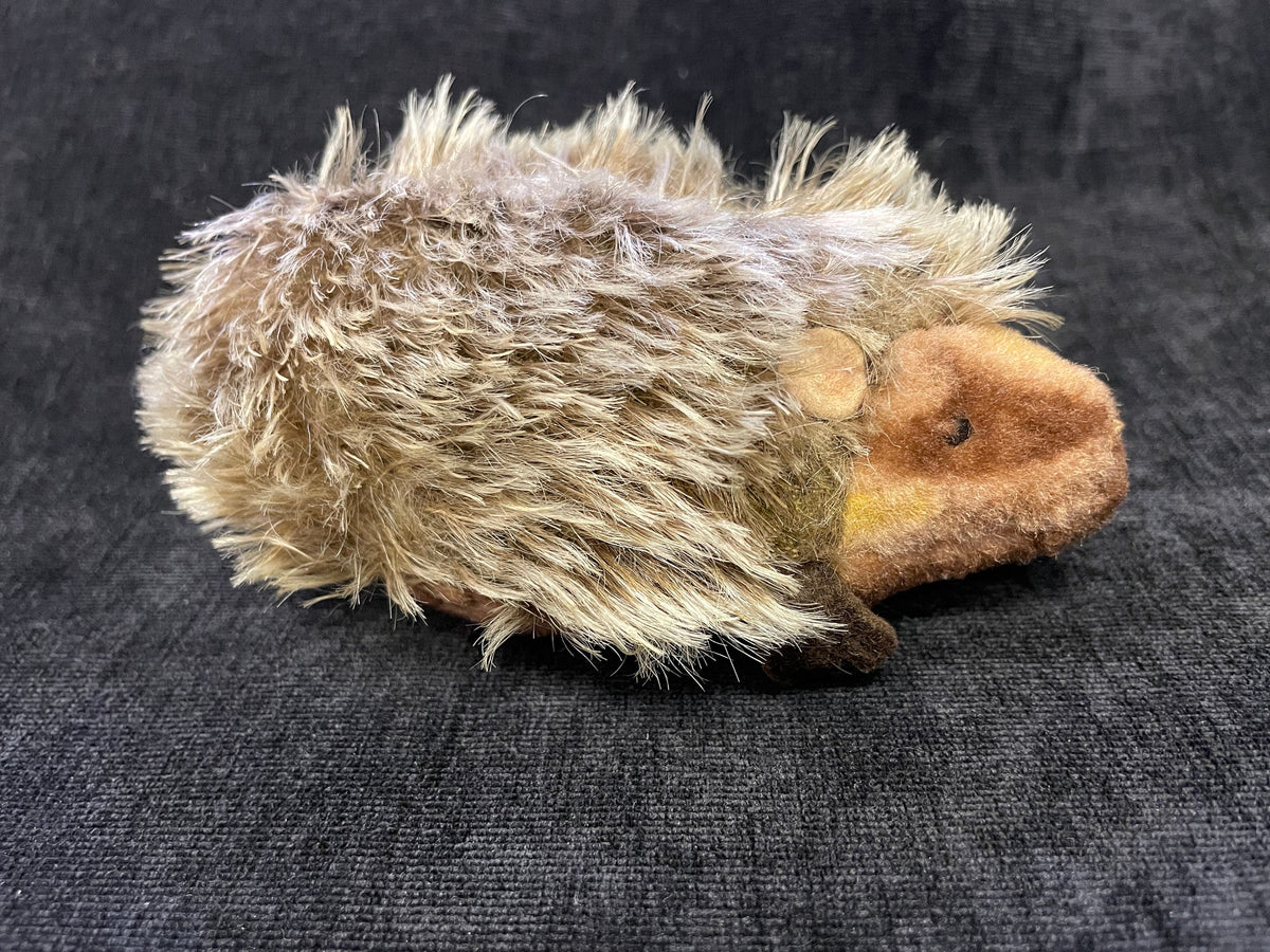 Steiff Joggi Hedgehog Mohair  -  1950s Hedgehog with Glass Eyes and Mohair